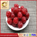 Wholesale Preserved Cherry Plum with Best Taste